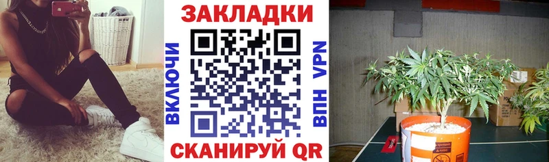 Галлюциногенные грибы Муром