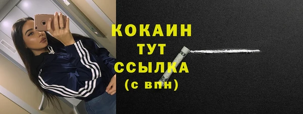 прущие грибы Куйбышев