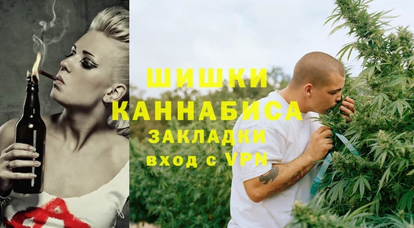 шишки Кулебаки