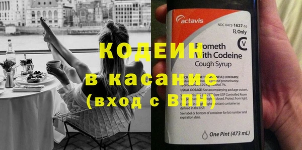 прущие грибы Куйбышев