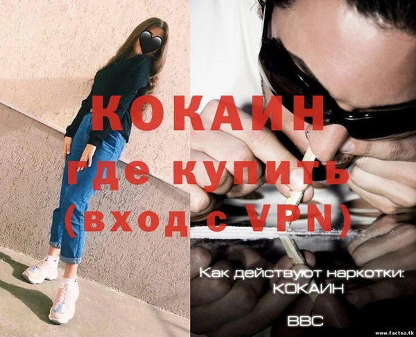 шишки Кулебаки