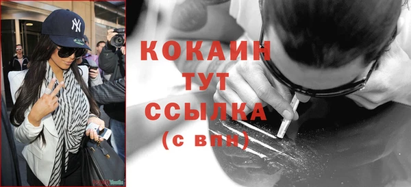 шишки Кулебаки